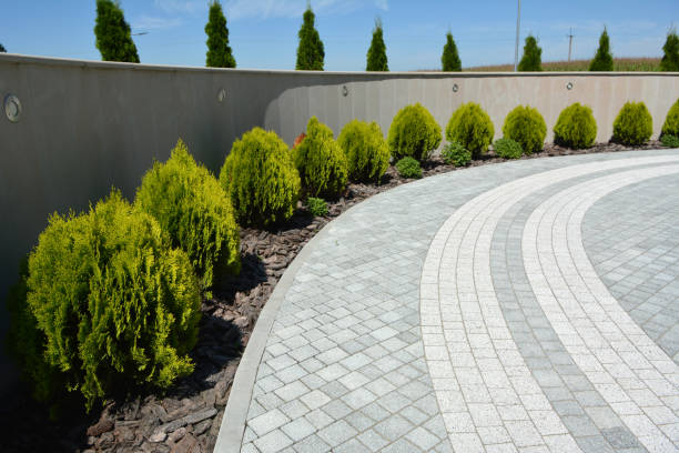 Best Residential Paver Driveway  in Lavon, TX